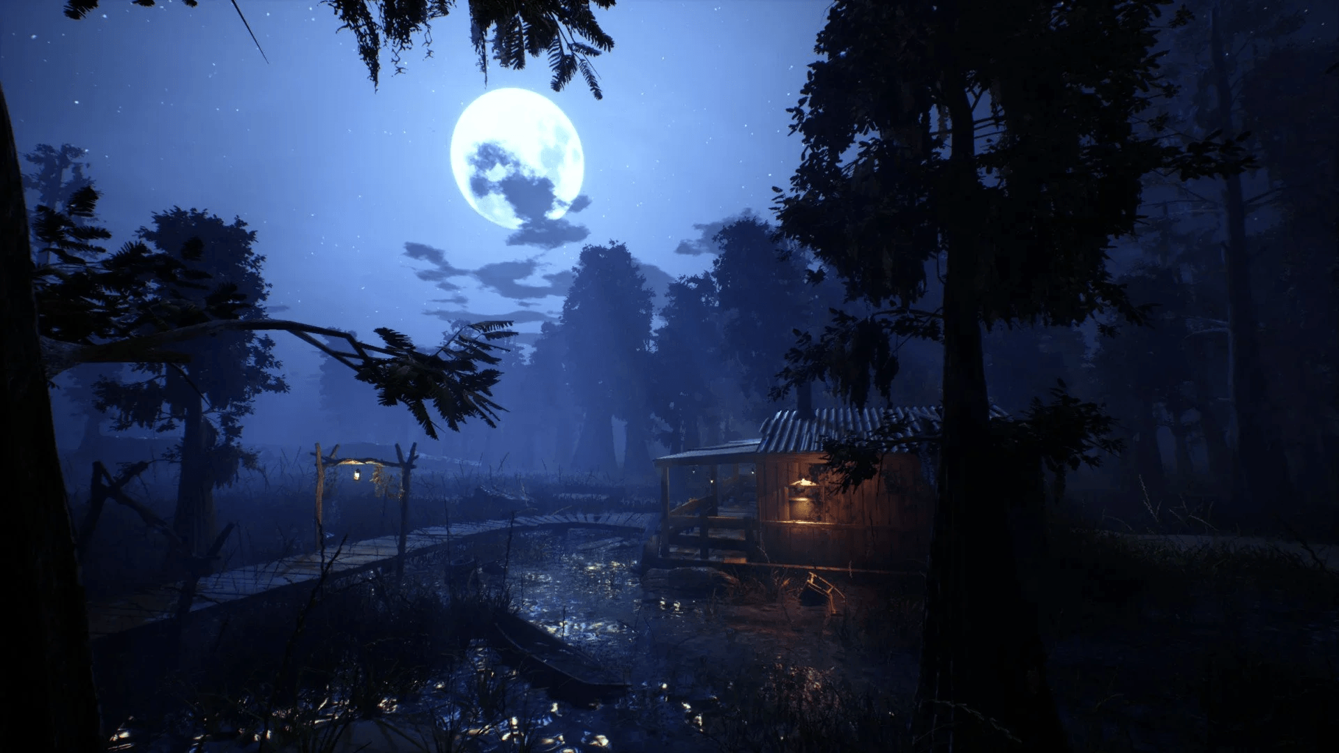 The Swamp — 1