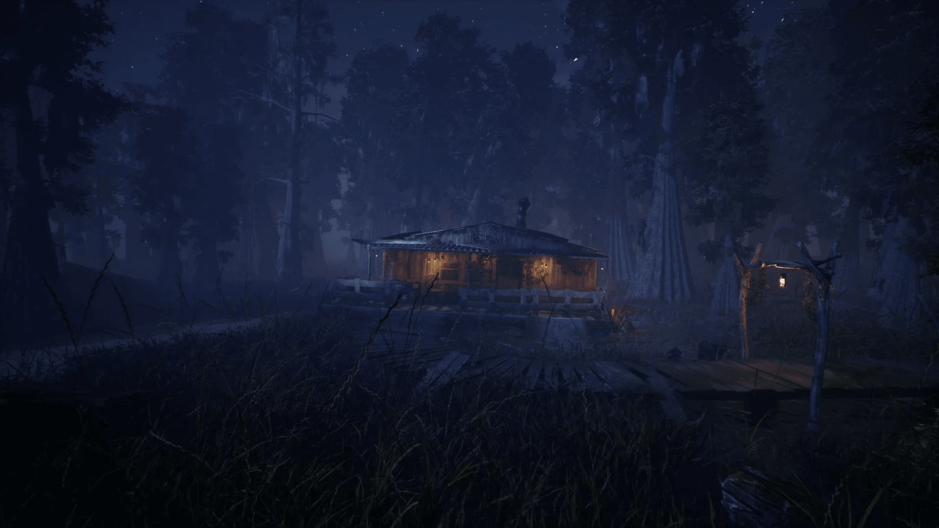 The Swamp — 2