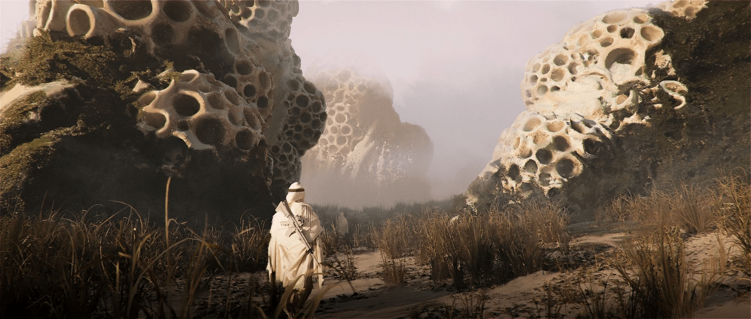 The Amazigh Brothers — 2