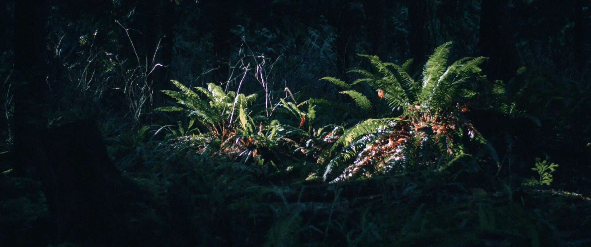 Vancouver — 16