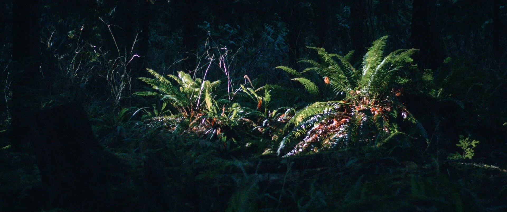 Vancouver — 16