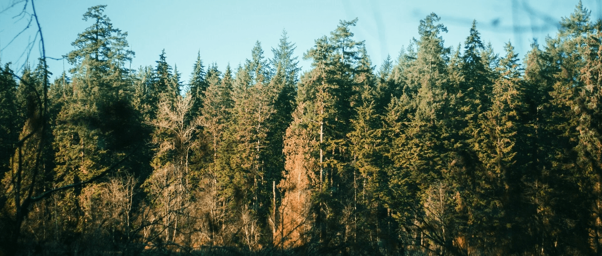 Vancouver — 19