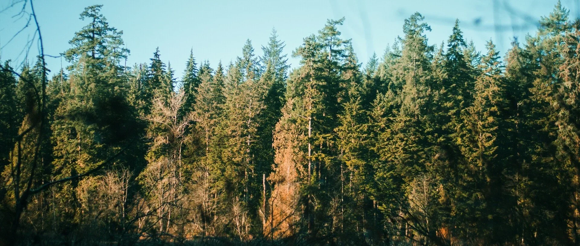 Vancouver — 19
