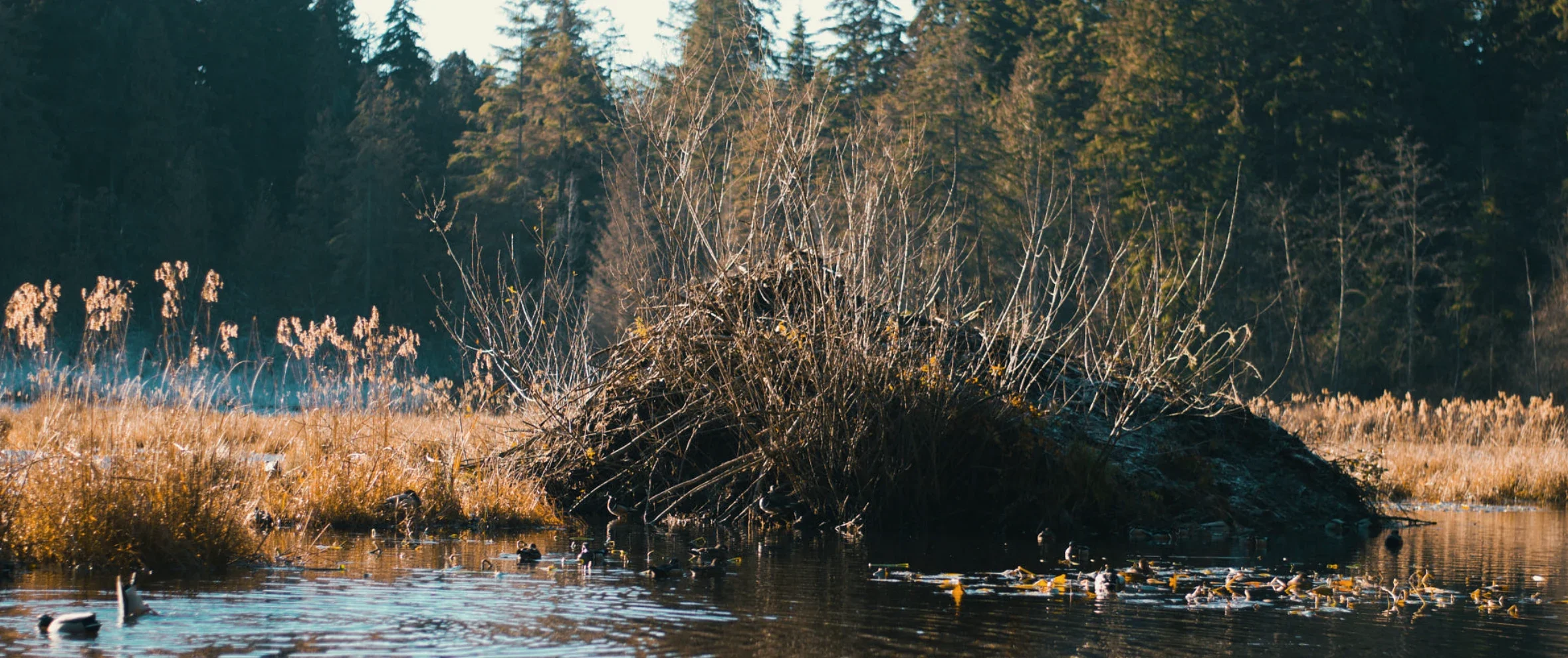 Vancouver — 22