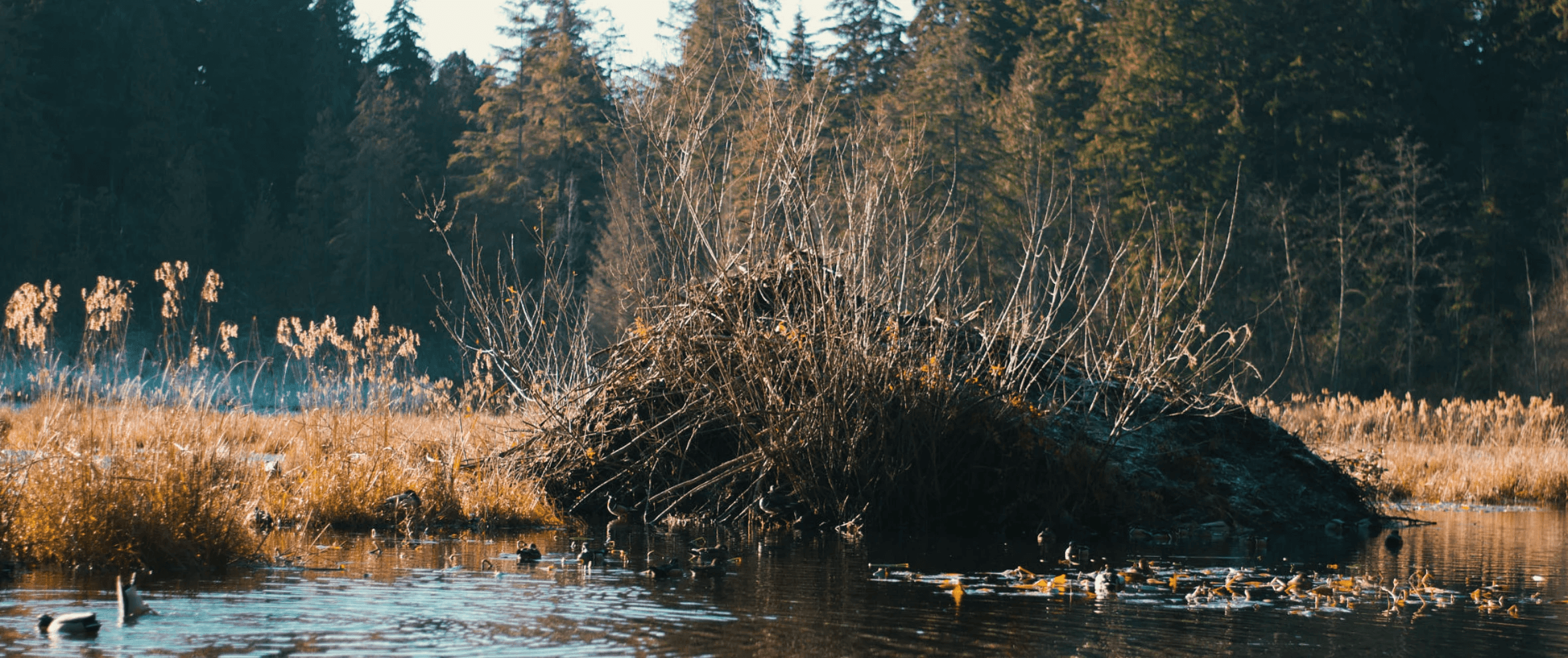 Vancouver — 22